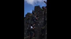 Dog rescued from scary mountain scramble