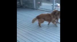 When you haven’t seen bae in a few hours