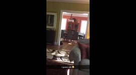 Dog doesn’t love me