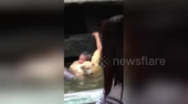 Hero passer-by rescues blind drowning dog from dirty canal