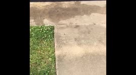 Woman exposes fake internet baller as a fraud