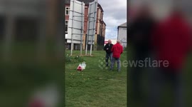 Two OAPs settled an old score with a fist fight outside a care home - before one helps the other look for his glasses