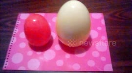 RAYAN Little SURPRISE TOYS  EGGS OPENING-Learn colors with Eggs
