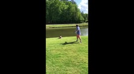 Goose Attack