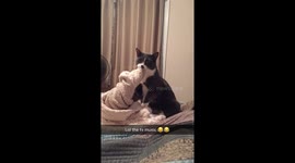 Kitty loving his blanket