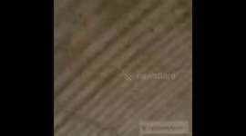 AGRESION DE MEDICOS EN MARACAIBO2