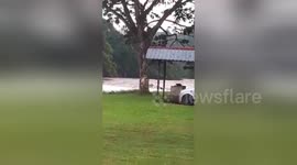 Family of five washed away after driving across flooded river