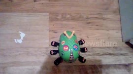 Spider Toy with 123 and ABC