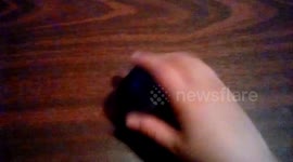 Best Squishy Toys.. Jelly Bead Squishy  Ball videos