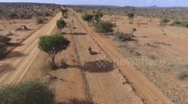 Motorcycle + Giraffes = Good Day Droning