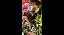 A carousel of flowers!!!