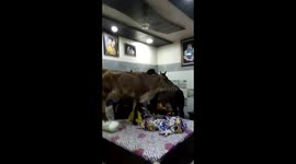 Ohhhh my god cant imazin this