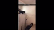 temp