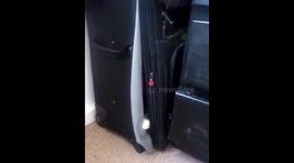 My cat, Leon, maneuvers out of a suitcase