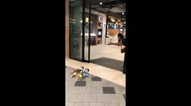 Pugs wait patiently for owner to return from shopping mall