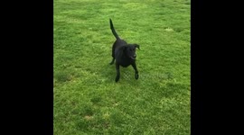 When your Boss lets you out early 