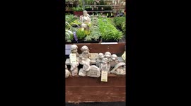 In the hardware shop buying small flower pots