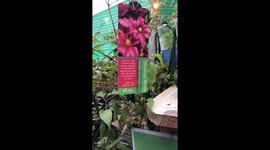 In the hardware shop buying small flower pots