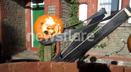 Angry Birds Pumpkins