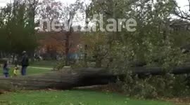 Hurricane Sandy, West Haven Green, Connecticut.