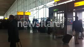Queues at stansted after snow cancels flights