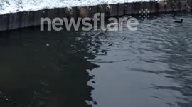 Snowing In London In Finsbury park