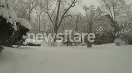 Nemo Just Getting Wound Up