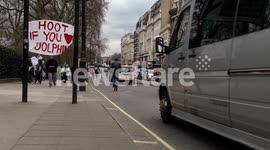 Taiji Dolphin Protest