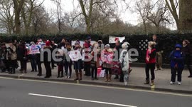 Japanese Embassy Dolphin Protest