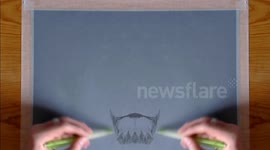 Speed drawing a lion