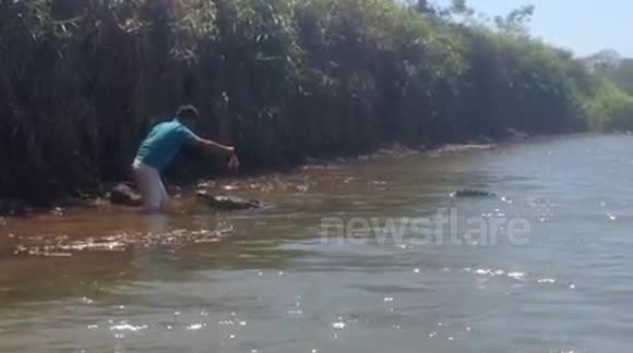 Man Feeds Giant Crocodile
