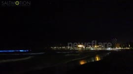 Bioluminescence Manly