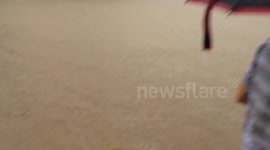 Mcdonald and Homeplus sank in the Busan 