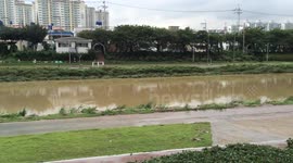 South Korea after torrential rain
