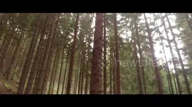 Covjekova (ne)kultura