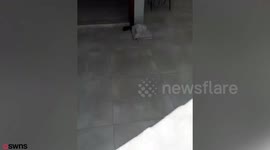 Mum gets perfect replica of son's facial birthmark painted on her