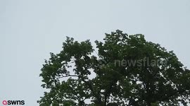 Outcry after firefighters forced to retrieve a drone belonging to Chinese wedding photographer