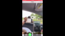 Bird Gives Us A Crazy Look ! 