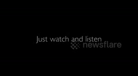 orcas CA51s underwater Jan 6 2015