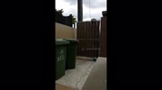 temp