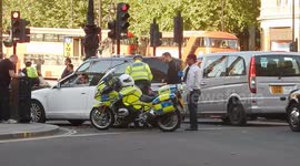 Man stopped by police on London's Mall