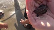 temp