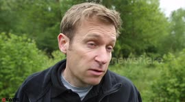 A once-extinct butterfly has been reintroduced to England after being transported in a transit van through the Channel Tunnel in a cool box