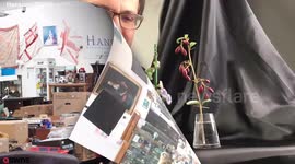 Two rare Faberge flowers are expected to fetch £500K at auction