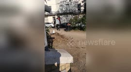 Newsflare Edit - Slippery Seagull