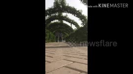 Slow motion makes everything cooler