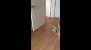 temp
