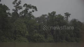 Cruising in Boat down River on Kinabatangan River in Malaysia Borneo Rainforest Sabah