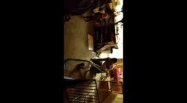 My son(20 months old) hitting the target almost every time.