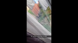 Sausage cheating on me with a new pair of parents